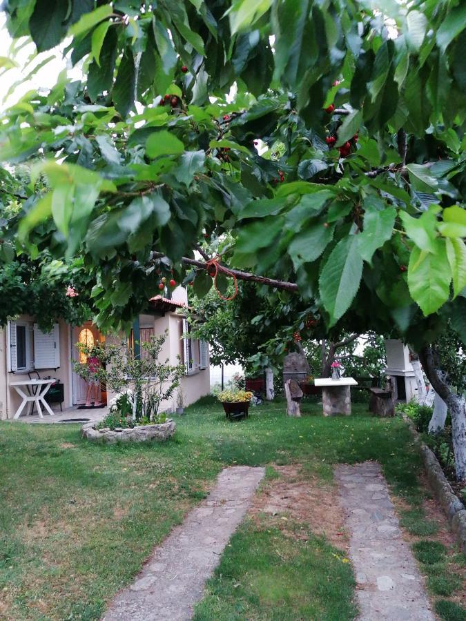 Apartamento Meteora'S Sunset Kalambaka Exterior foto